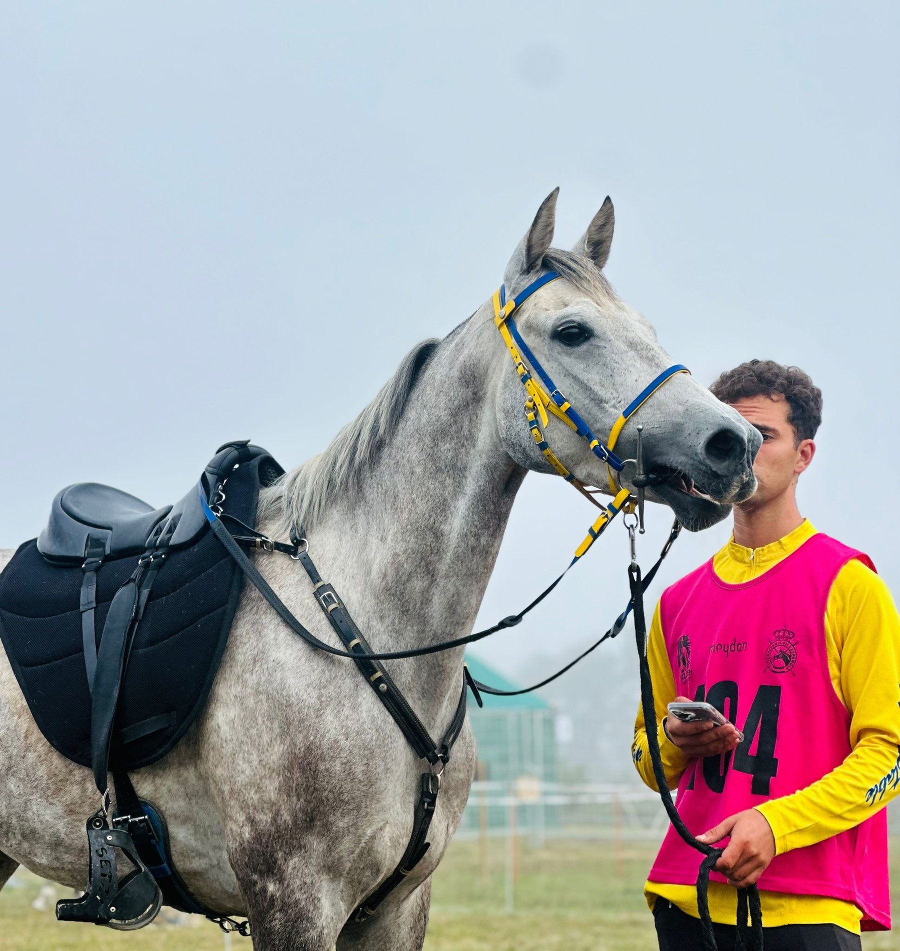 Endurance horse prepared by Enjoy Endurance Stables