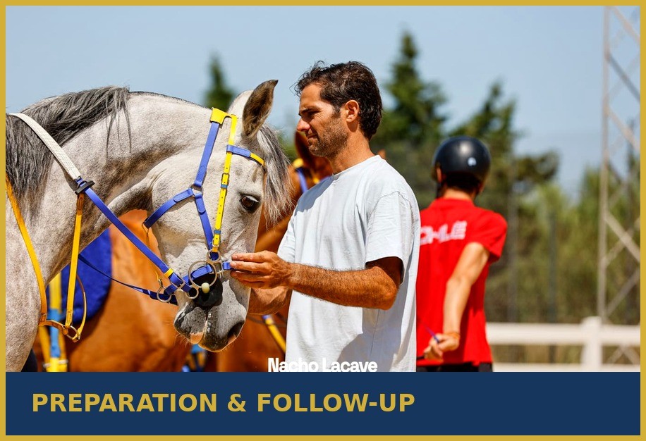 Professional endurance horse preparation at Enjoy Endurance Stables in Badajoz, Spain