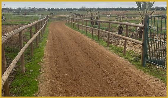 Training track between paddocks