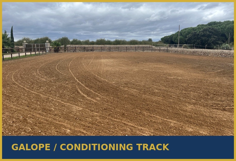 Gallop and conditioning track at Enjoy Endurance Stables