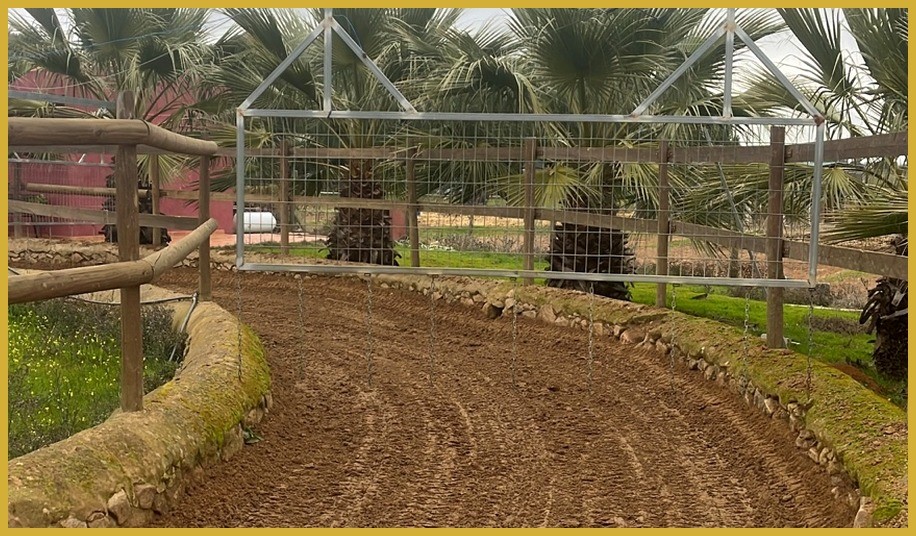 Horse walker at Enjoy Endurance Stables